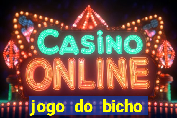 jogo do bicho crash bingo